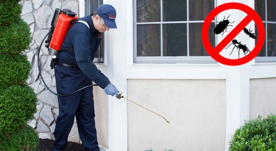 Kadınhanı Pire İlaçlama böcek ilaçlama ve haşere kontrolü — ilaclama-tr.com